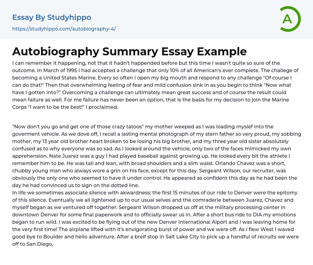 Autobiography Summary Essay Example
