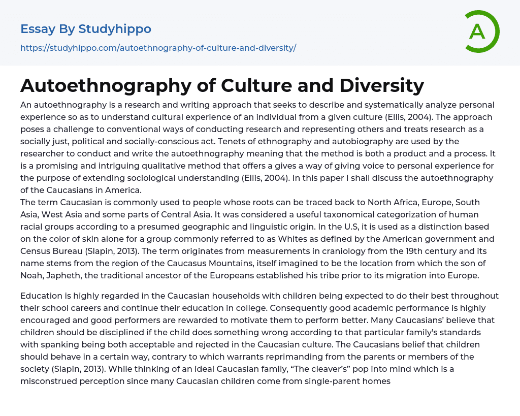 Autoethnography of Culture and Diversity Essay Example
