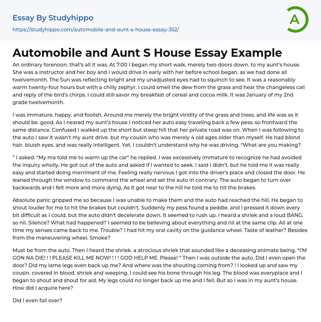 Automobile and Aunt S House Essay Example
