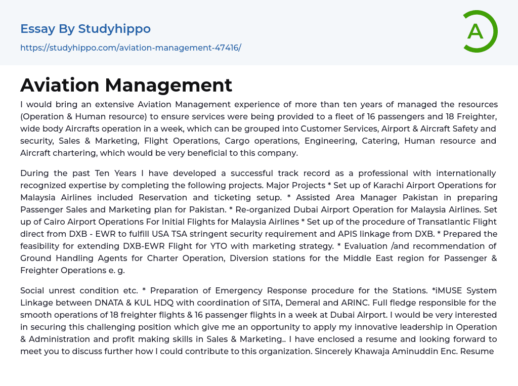 Aviation Management Essay Example