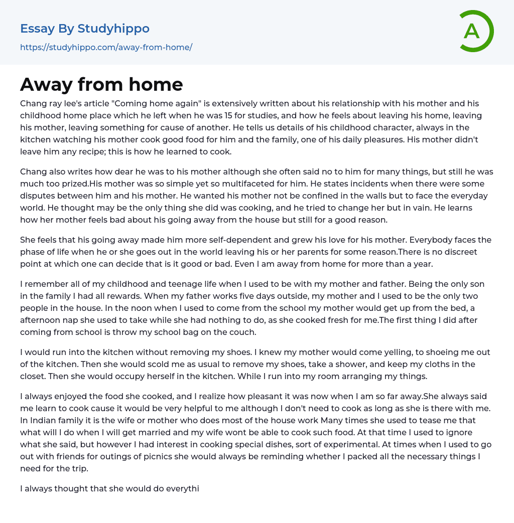 Away from home Essay Example