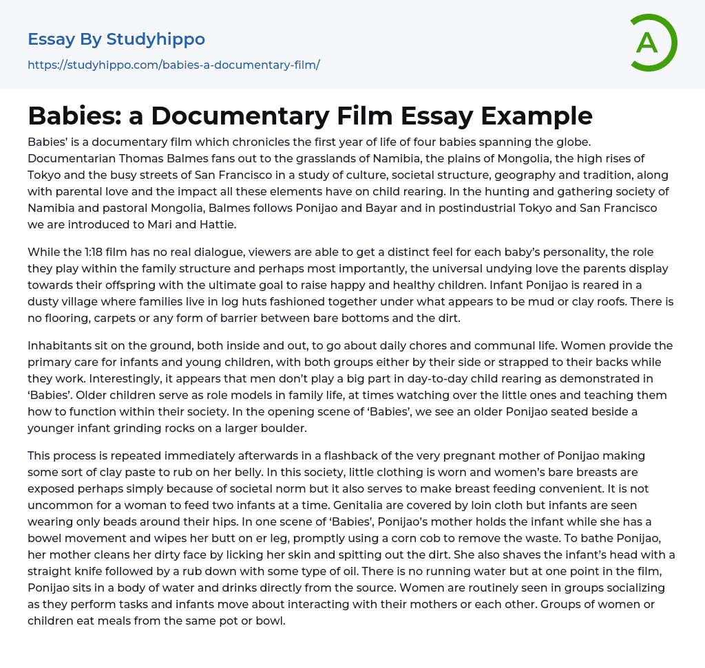 Babies: a Documentary Film Essay Example