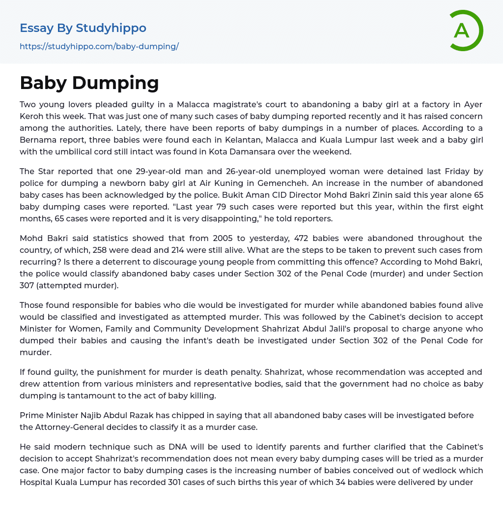 Baby Dumping Essay Example