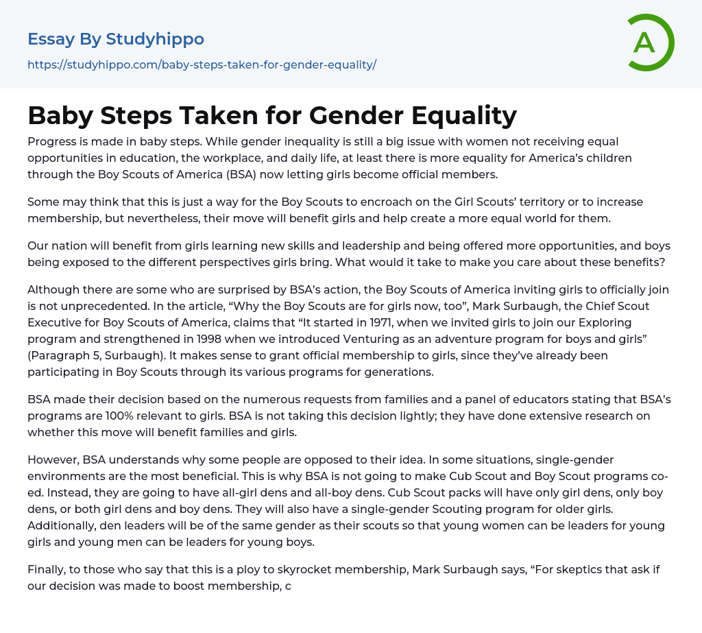 Baby Steps Taken for Gender Equality Essay Example