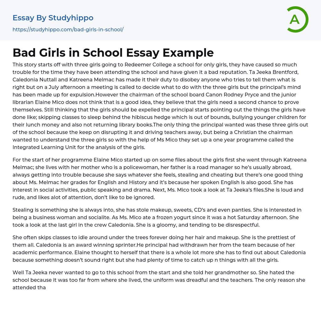 Bad Girls in School Essay Example