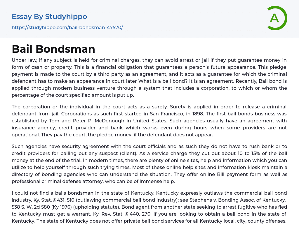 Bail Bondsman Essay Example