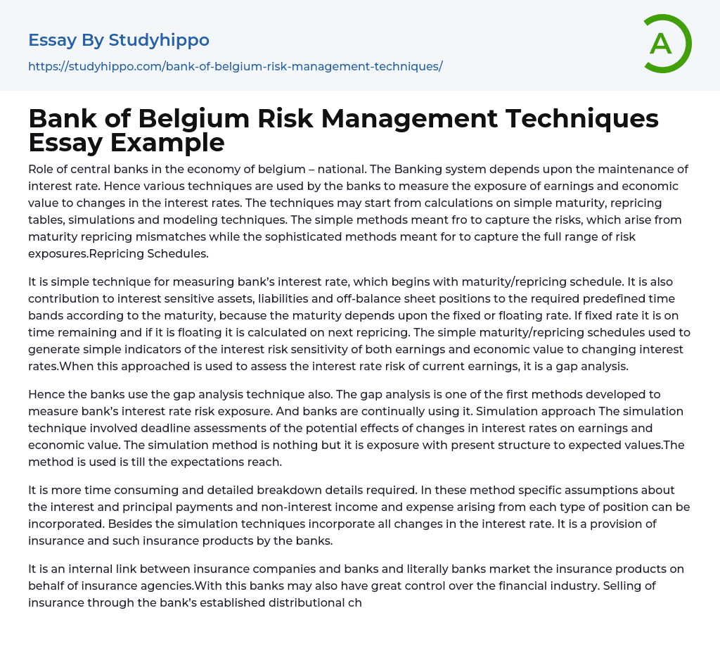 Bank of Belgium Risk Management Techniques Essay Example