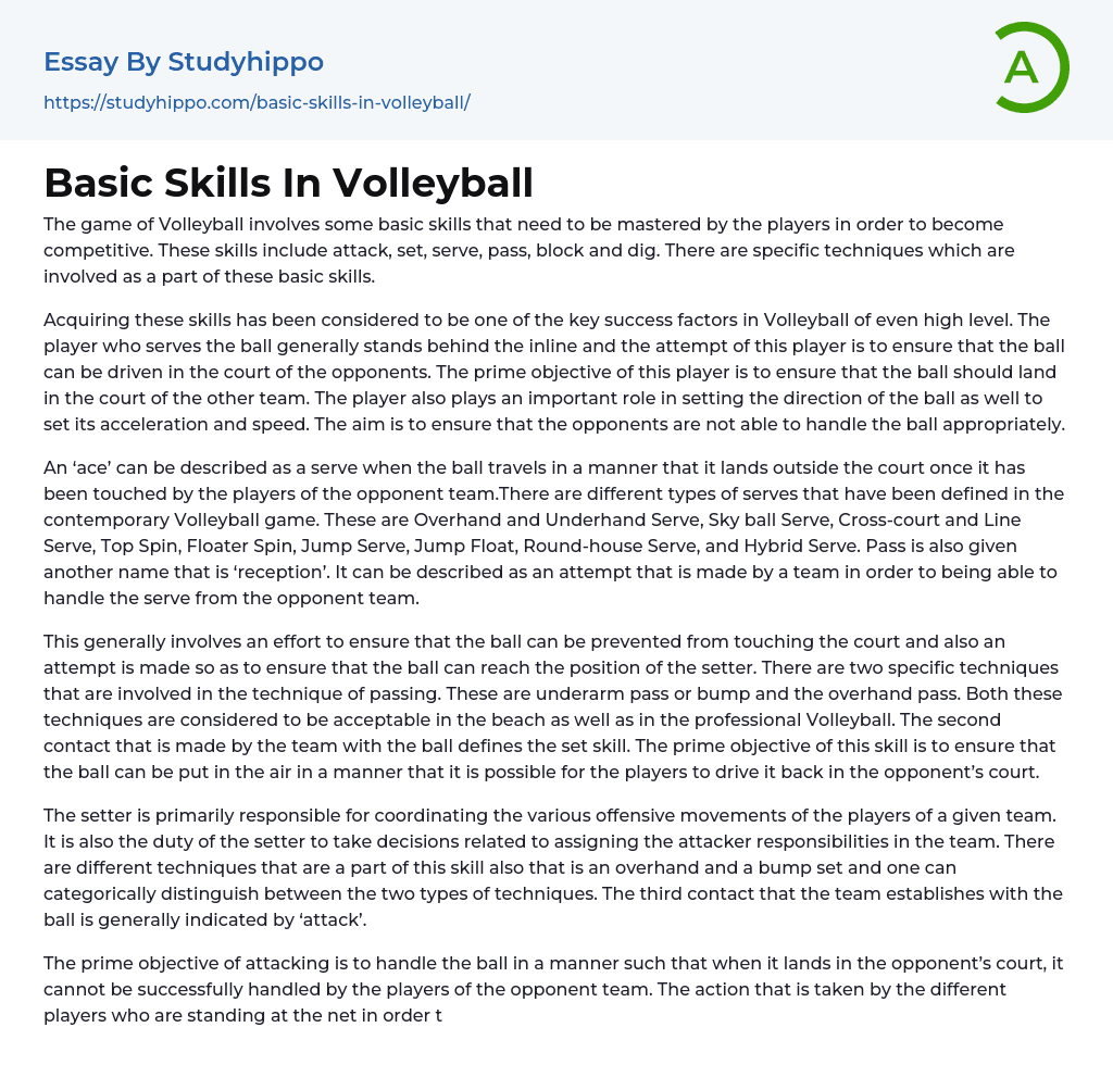 volleyball essay example