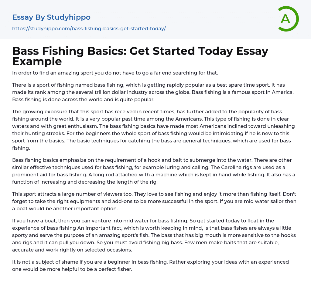 Bass Fishing Basics: Get Started Today Essay Example