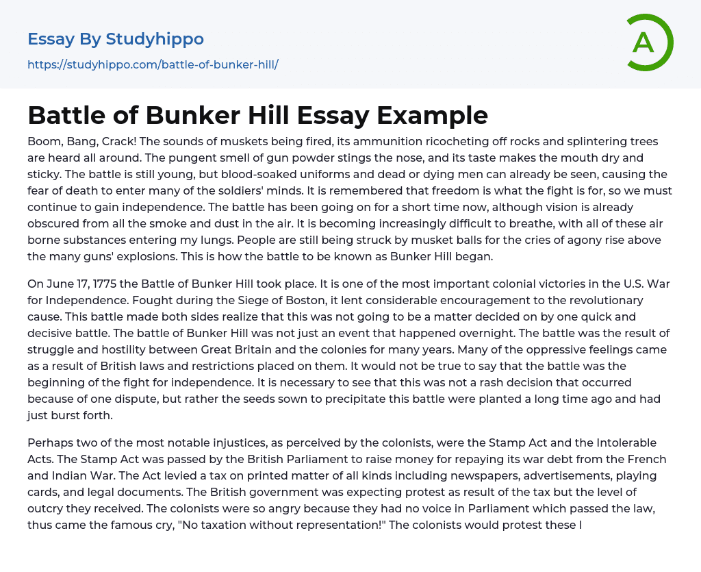 Battle of Bunker Hill Essay Example