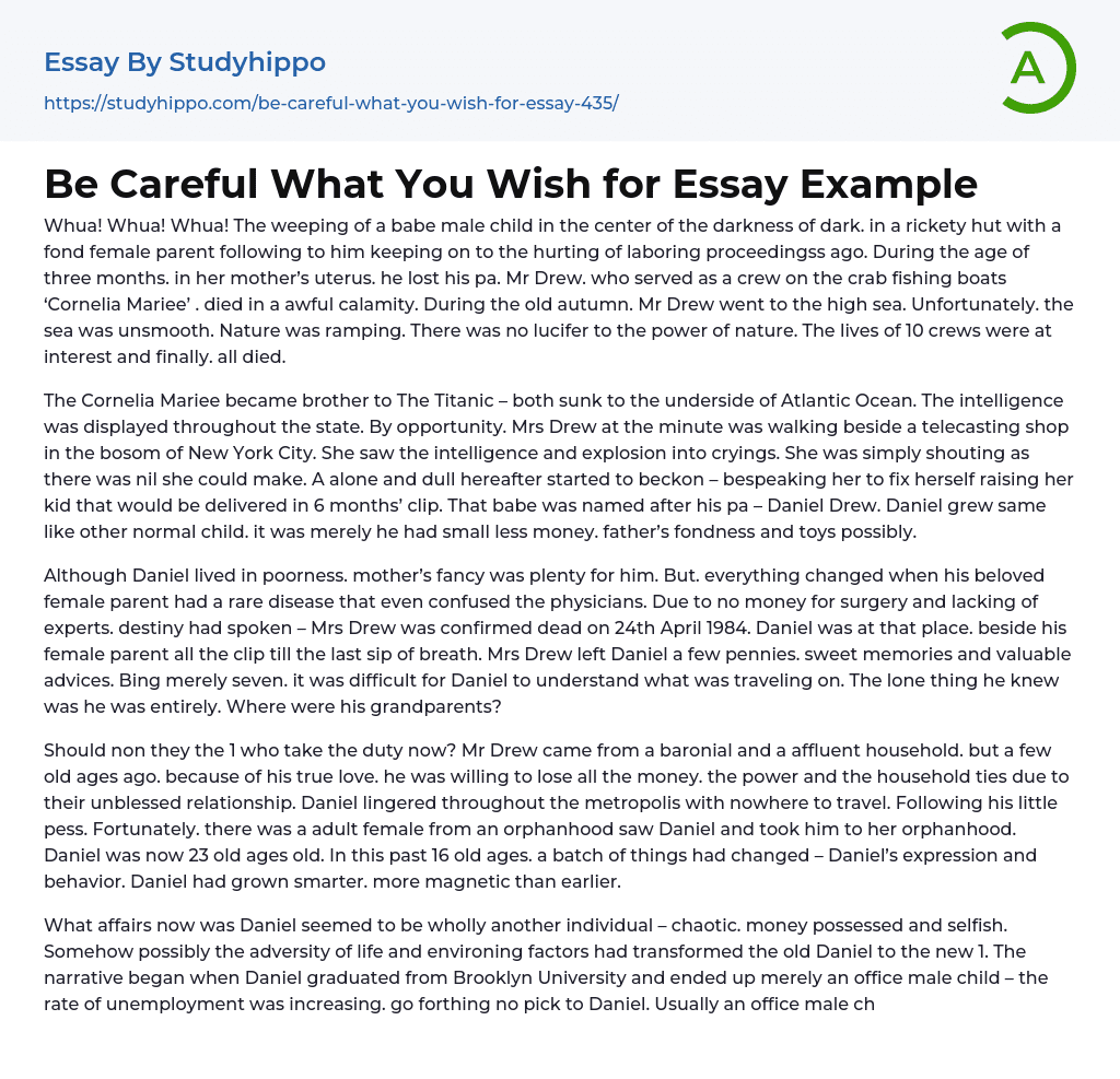 Be Careful What You Wish for Essay Example