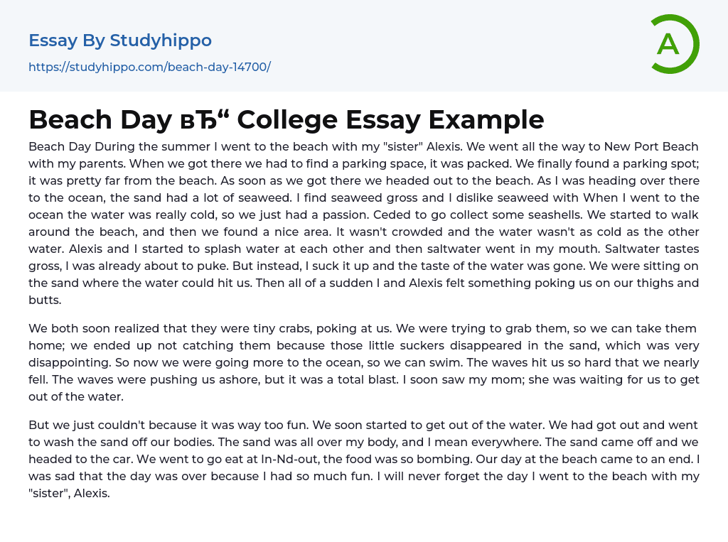 Beach Day College Essay Example