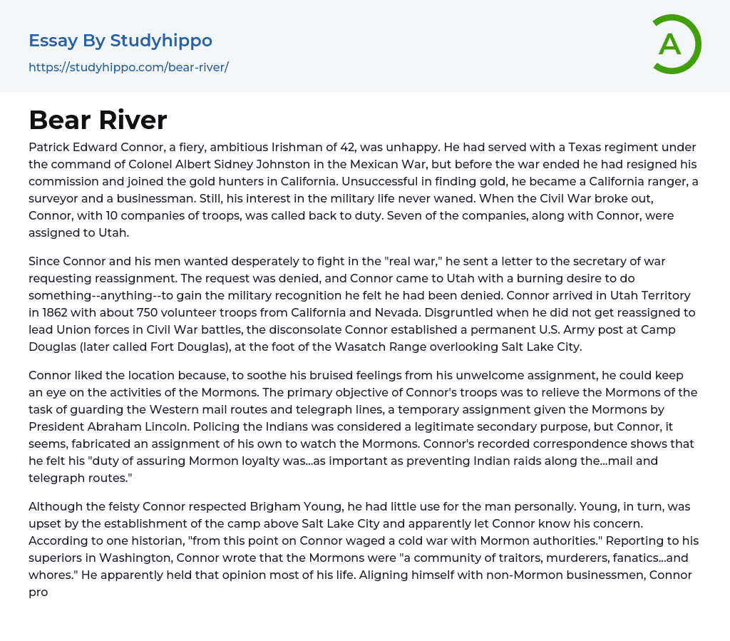 Bear River Essay Example