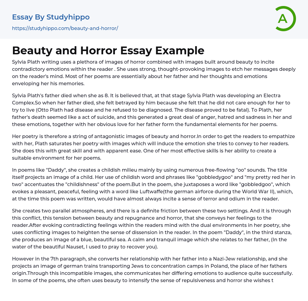 Beauty and Horror Essay Example