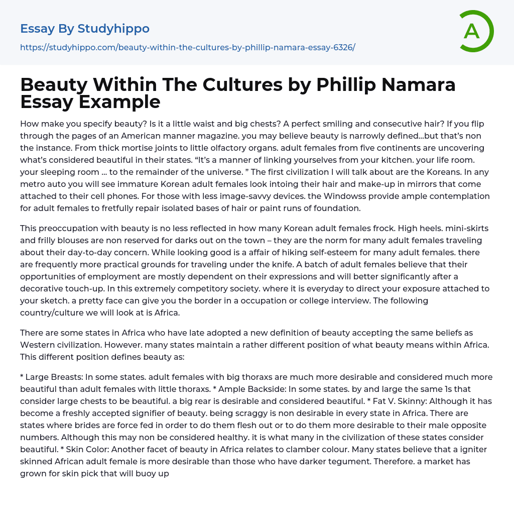 Beauty Within The Cultures by Phillip Namara Essay Example