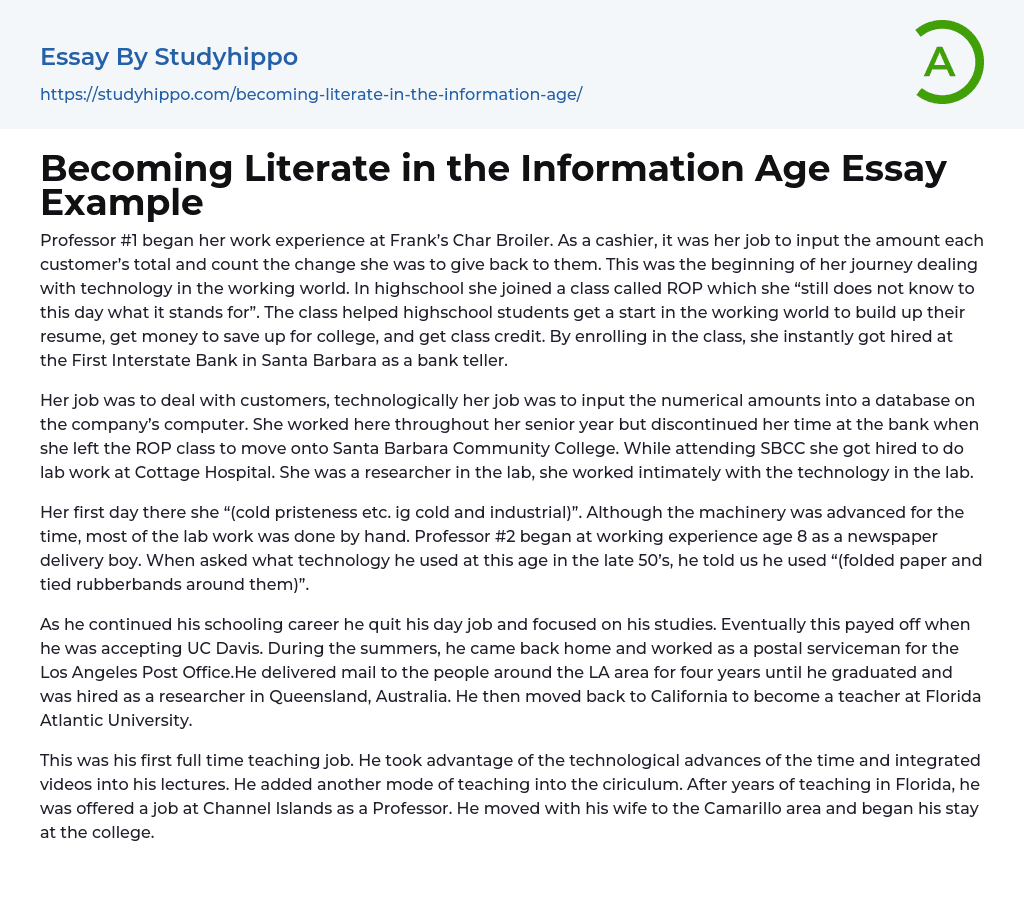 Becoming Literate in the Information Age Essay Example