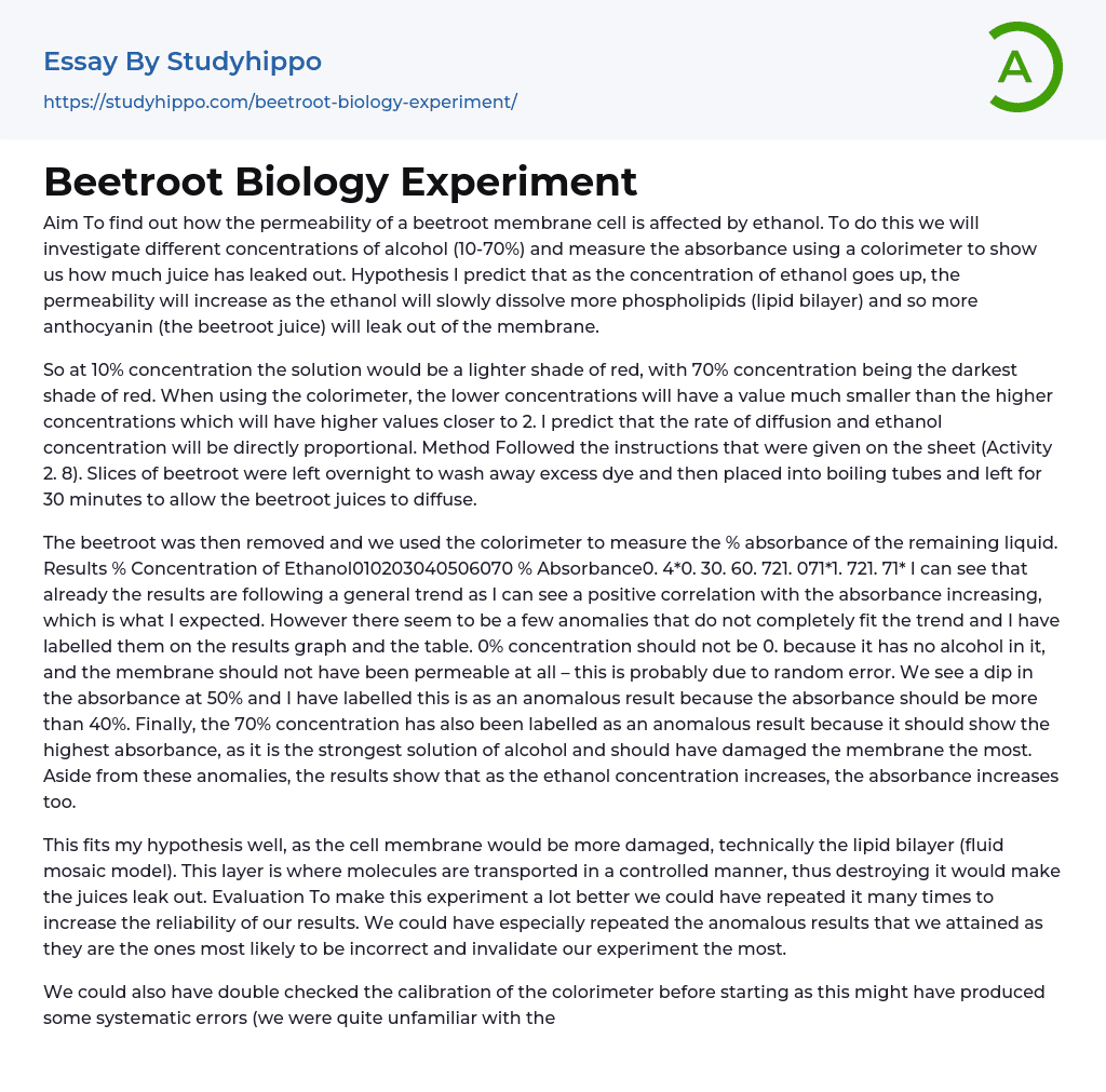Beetroot Biology Experiment Essay Example
