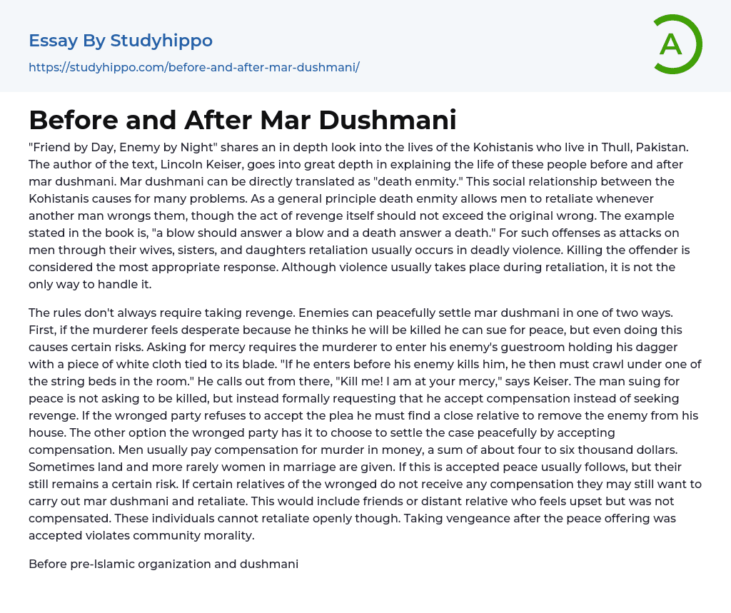 Before and After Mar Dushmani Essay Example