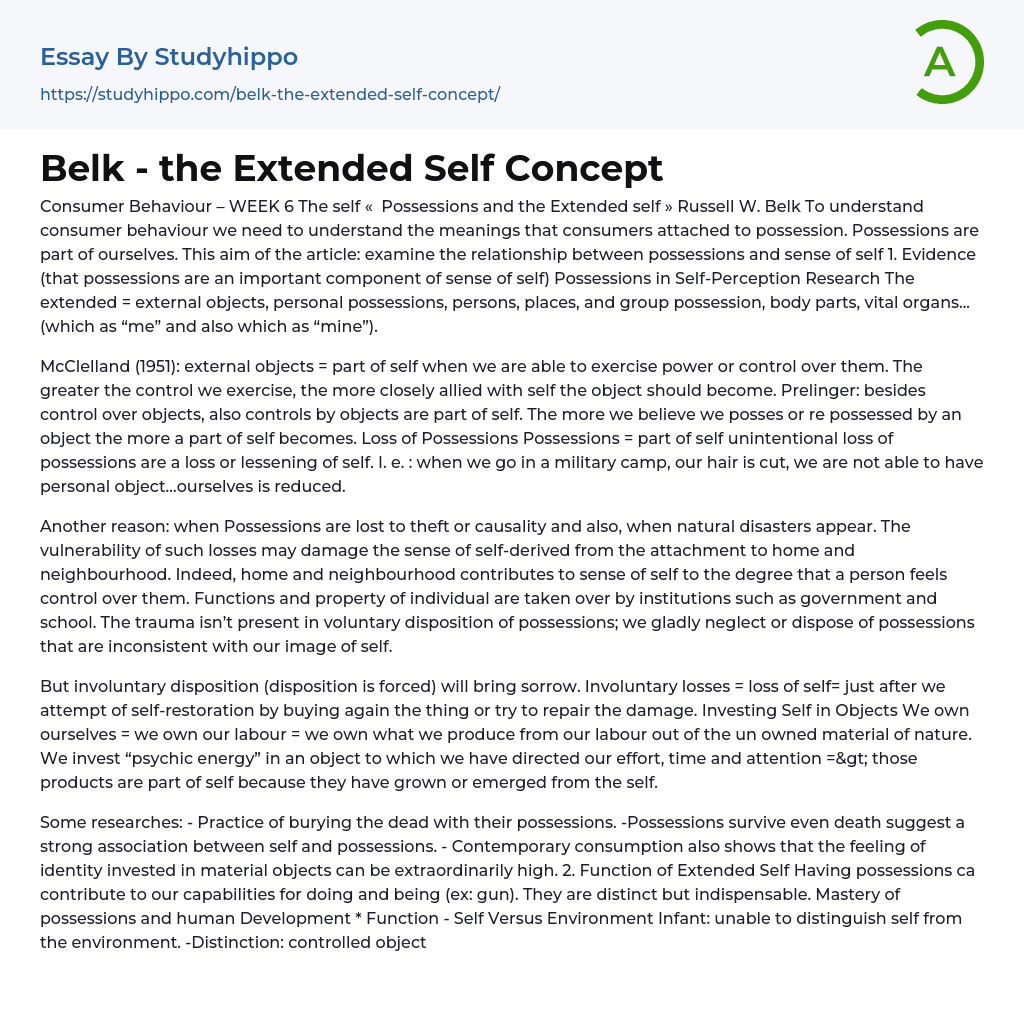 Belk – the Extended Self Concept Essay Example