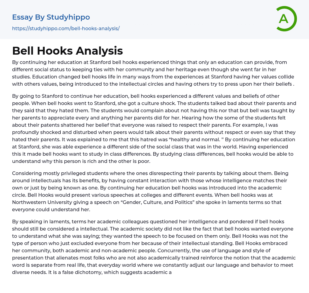Bell Hooks Analysis Essay Example