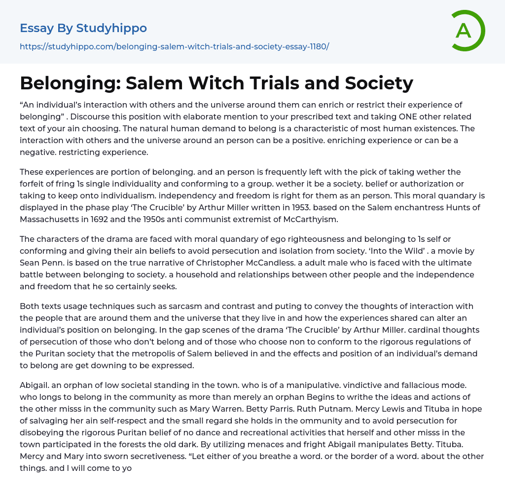 Belonging: Salem Witch Trials and Society Essay Example
