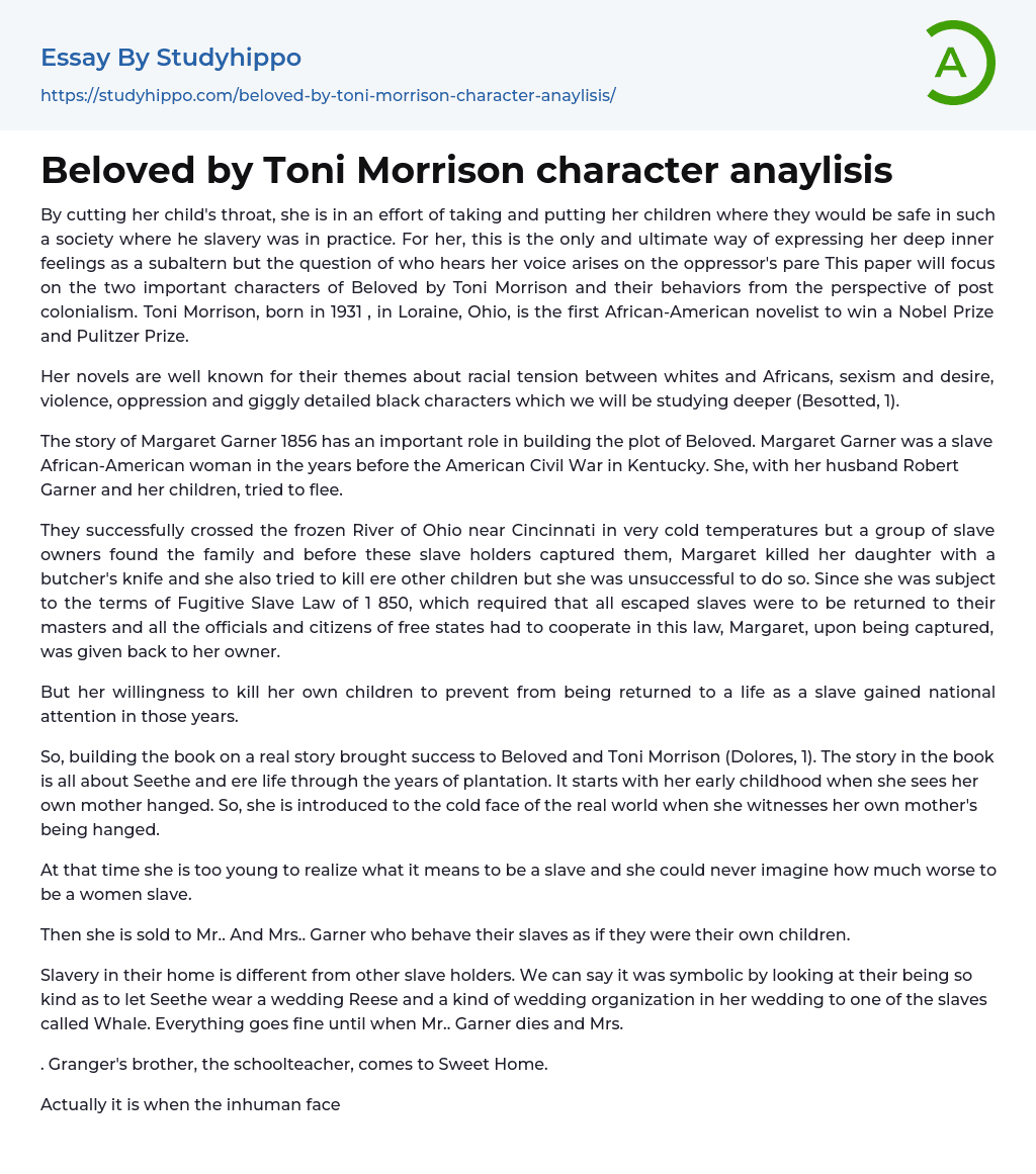 Beloved by Toni Morrison character anaylisis Essay Example