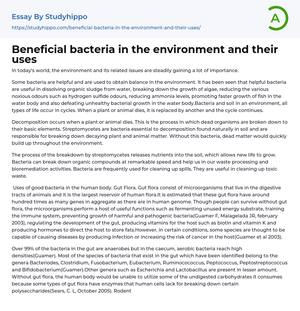 Beneficial bacteria in the environment and their uses Essay Example