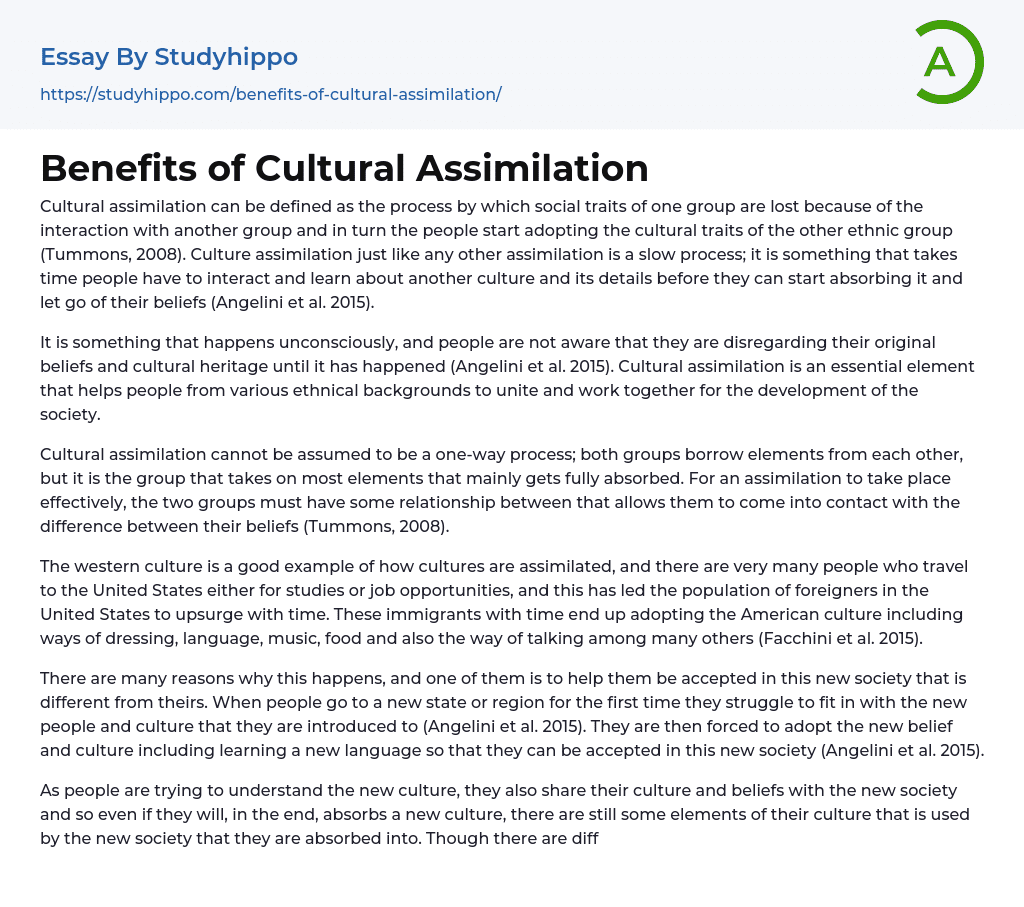 Benefits of Cultural Assimilation Essay Example