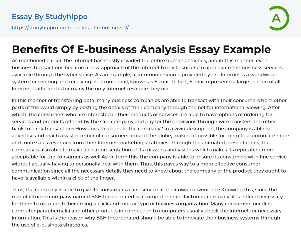 Benefits Of E business Analysis Essay Example StudyHippo