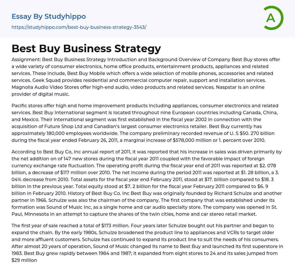 Best Buy Business Strategy Essay Example | StudyHippo.com