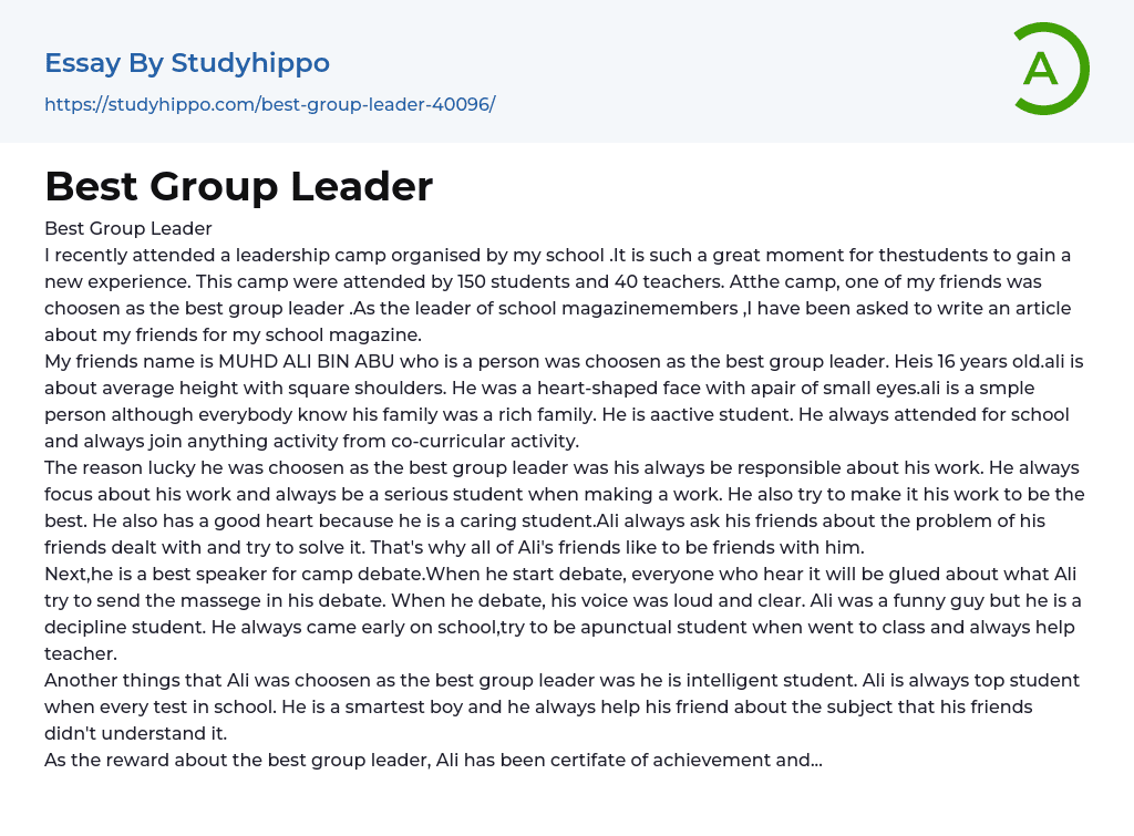 Best Group Leader Essay Example