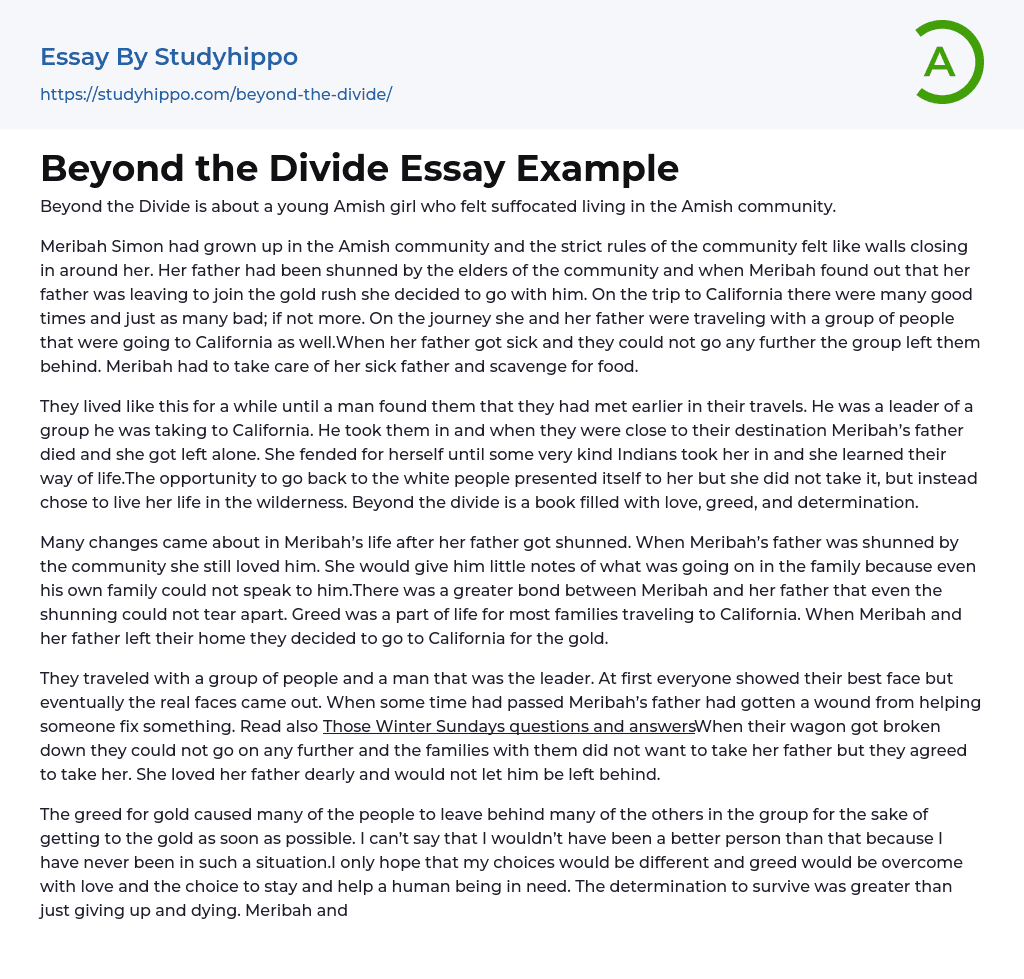 Beyond the Divide Essay Example