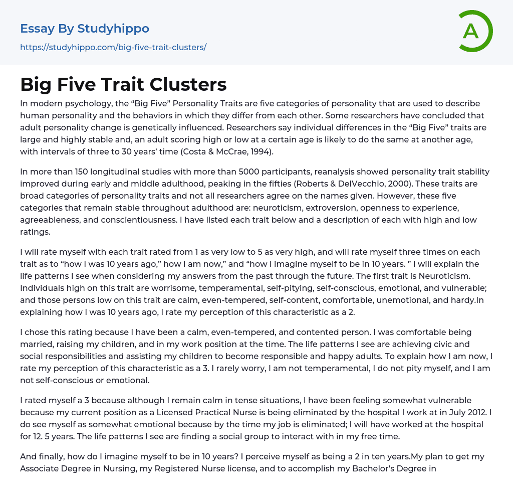 Big Five Trait Clusters Essay Example