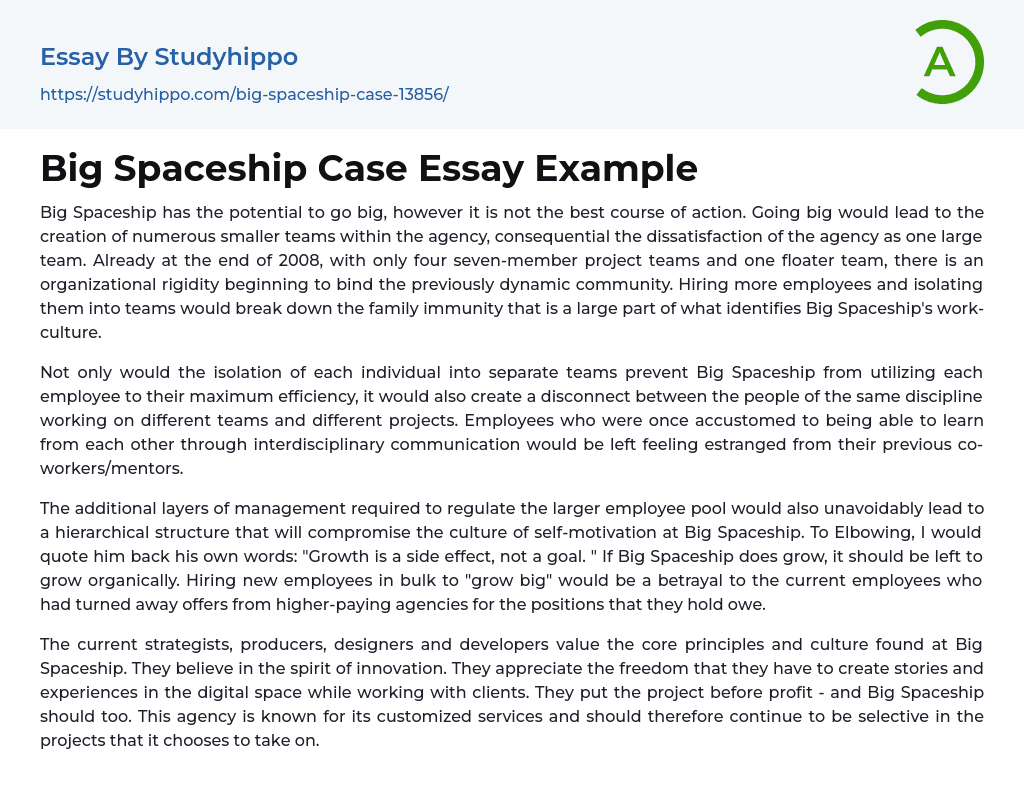 Big Spaceship Case Essay Example