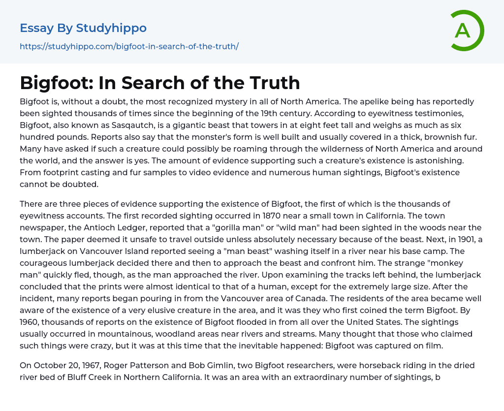 Bigfoot: In Search of the Truth Essay Example