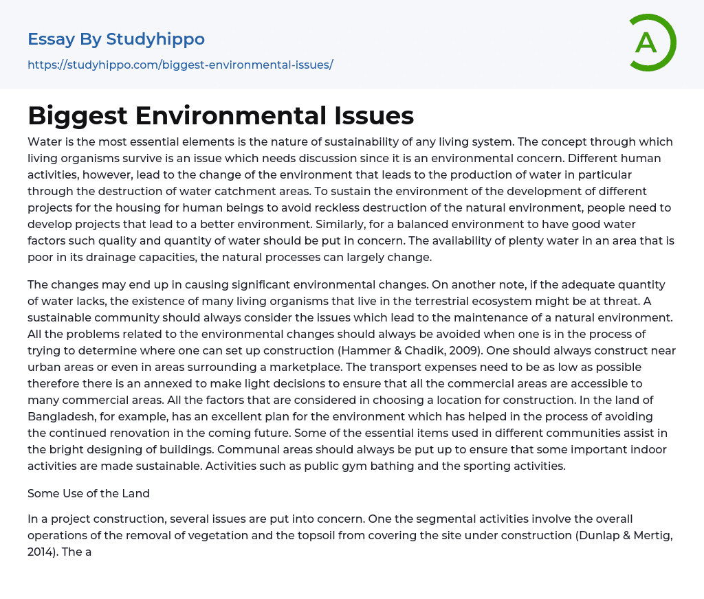 Biggest Environmental Issues Essay Example