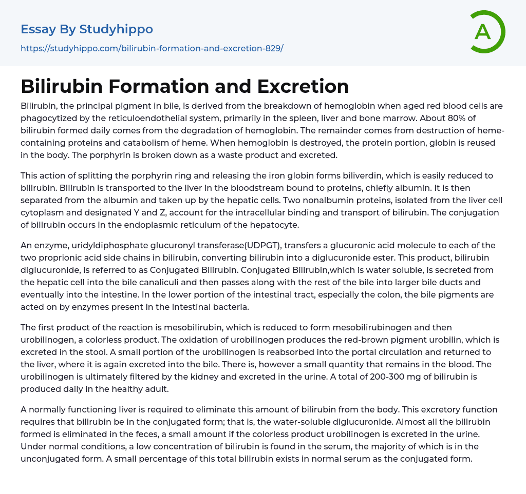 Bilirubin Formation and Excretion Essay Example
