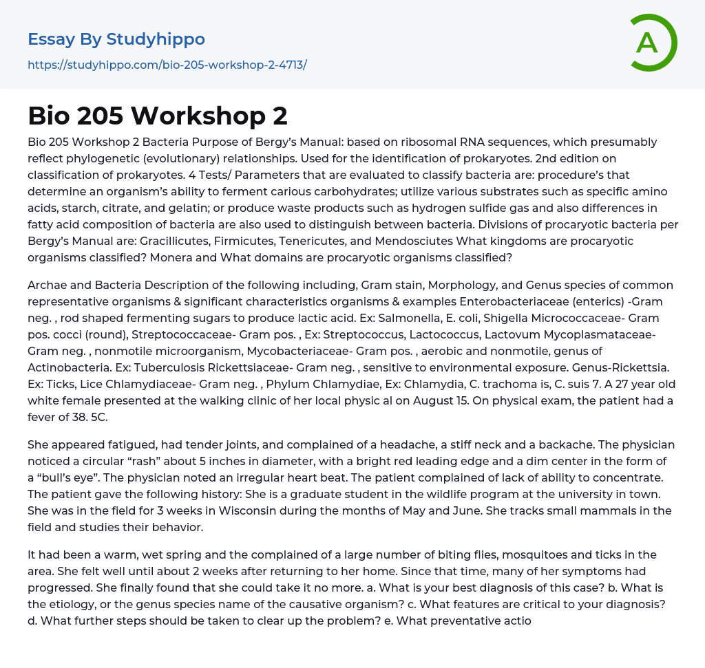 Bio 205 Workshop 2 Essay Example