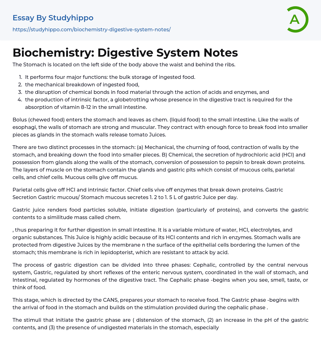 Biochemistry: Digestive System Notes Essay Example