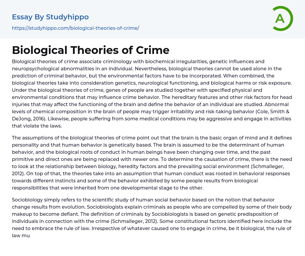 Biological Theories of Crime Essay Example