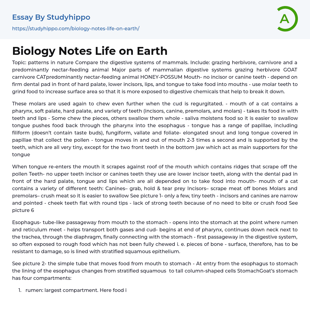 Biology Notes Life on Earth Essay Example