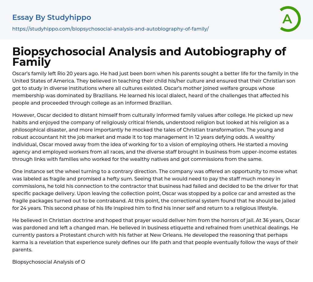 Biopsychosocial Analysis and Autobiography of Family Essay Example