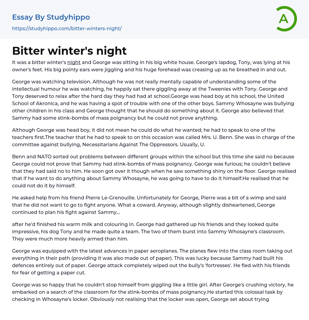 Bitter winter’s night Essay Example
