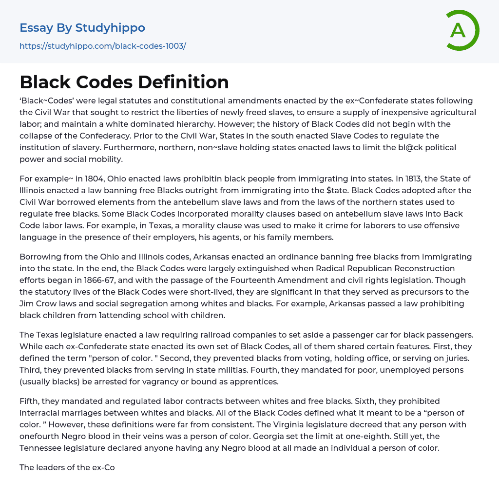 Black Codes Definition Essay Example