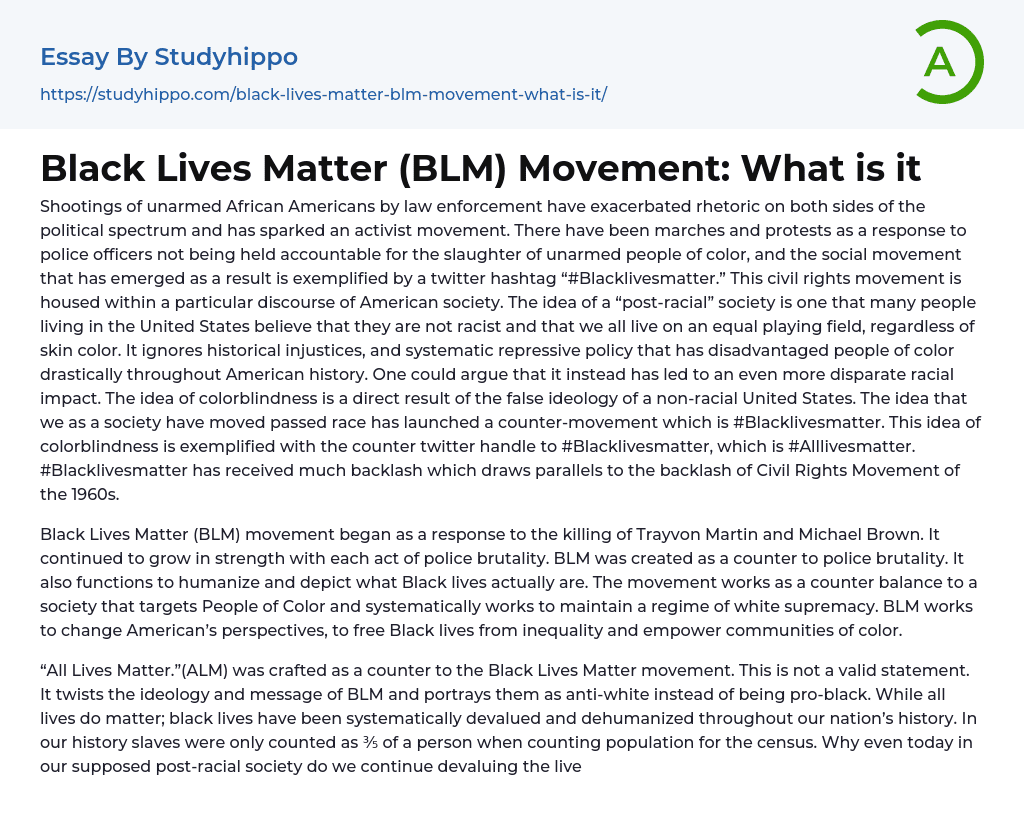 Black Lives Matter (BLM) Movement: What is it Essay Example