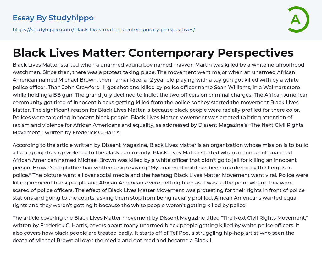 Black Lives Matter: Contemporary Perspectives Essay Example