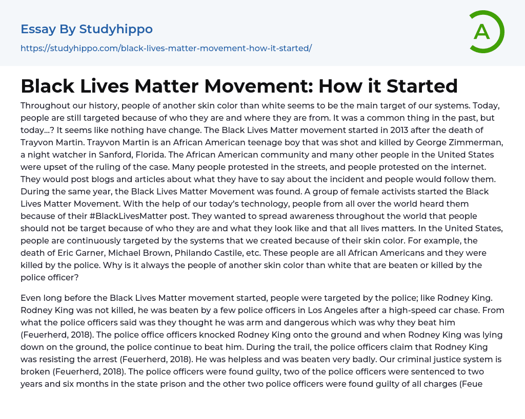 Black Lives Matter Movement: How it Started Essay Example