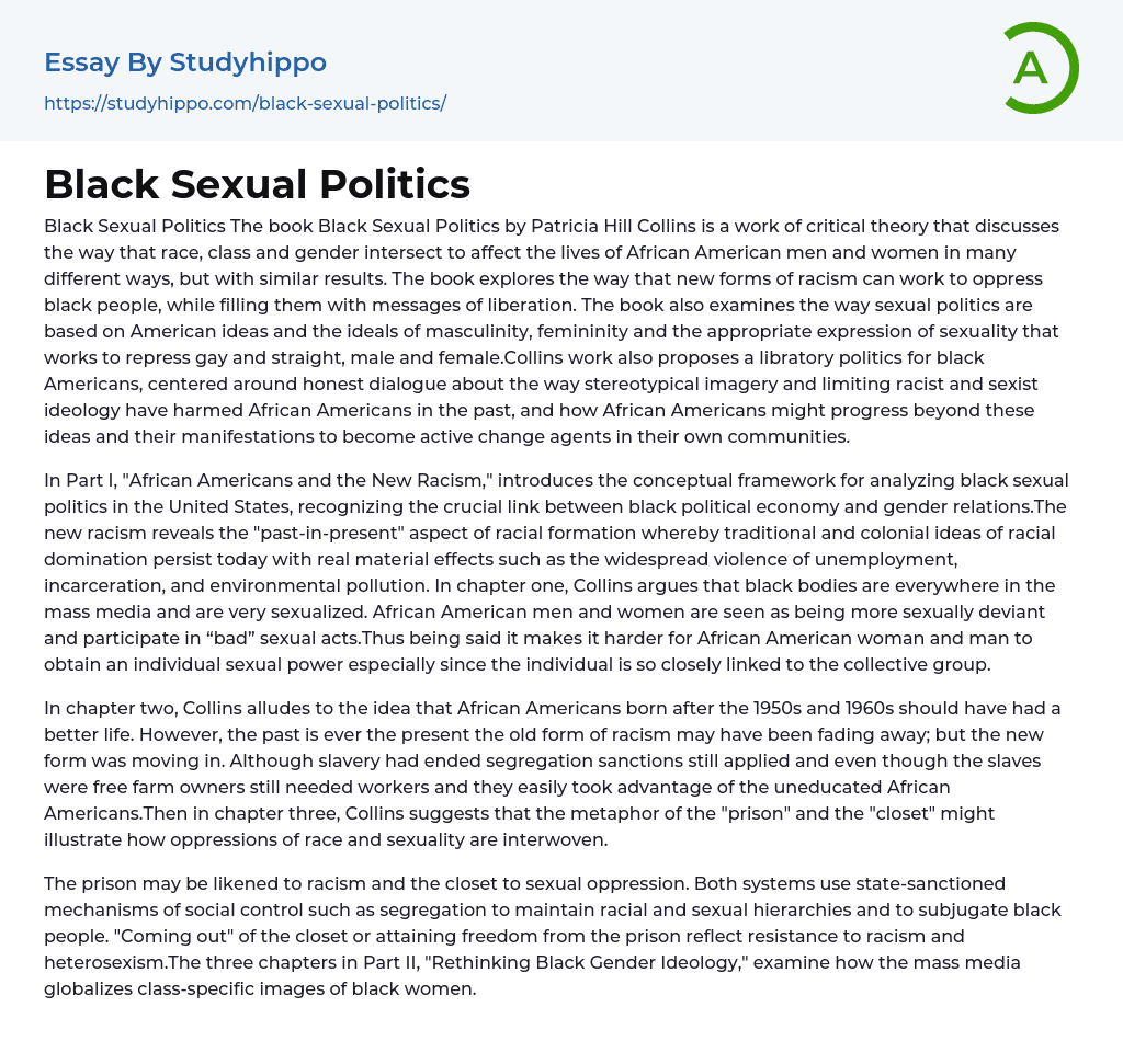 Black Sexual Politics Essay Example