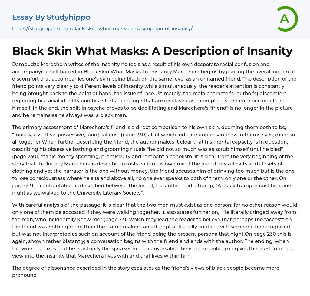 Black Skin What Masks: A Description of Insanity Essay Example