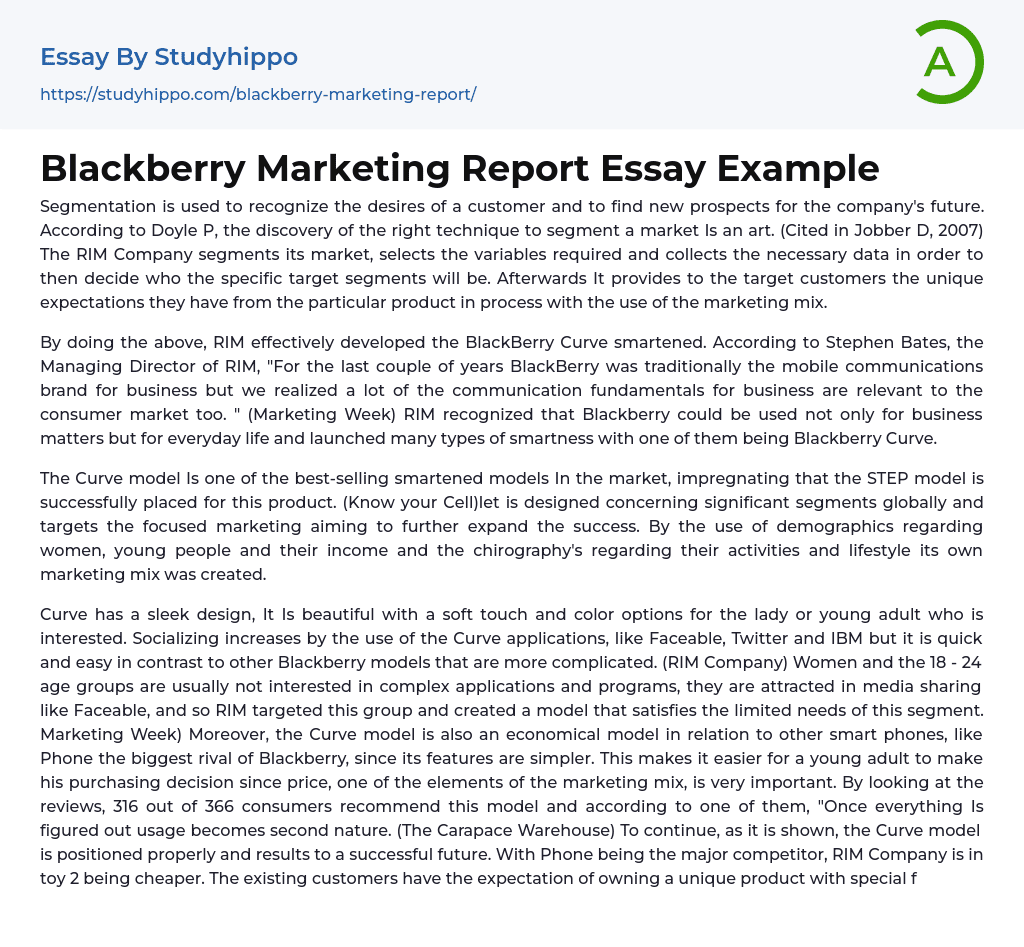 Blackberry Marketing Report Essay Example